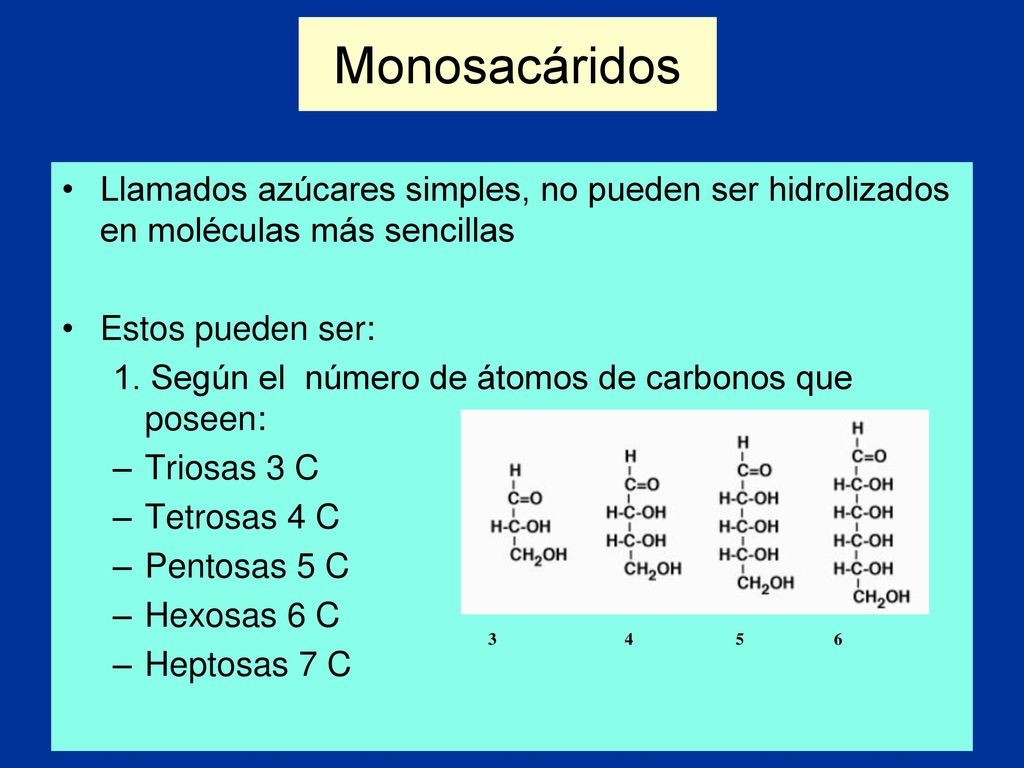 Monosacáridos Llamados azúcares simples, no pueden ser hidrolizados en moléculas más sencillas. Estos pueden ser: