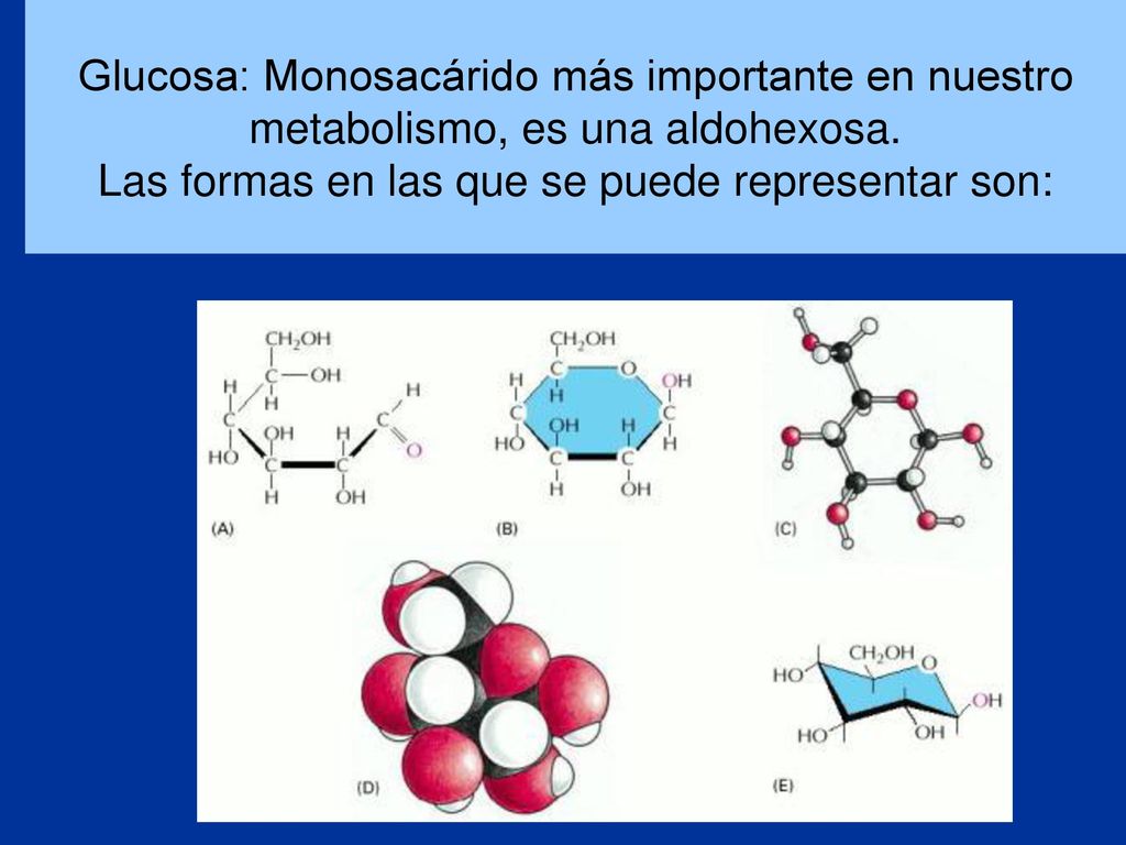 Glucosa: Monosacárido más importante en nuestro metabolismo, es una aldohexosa.