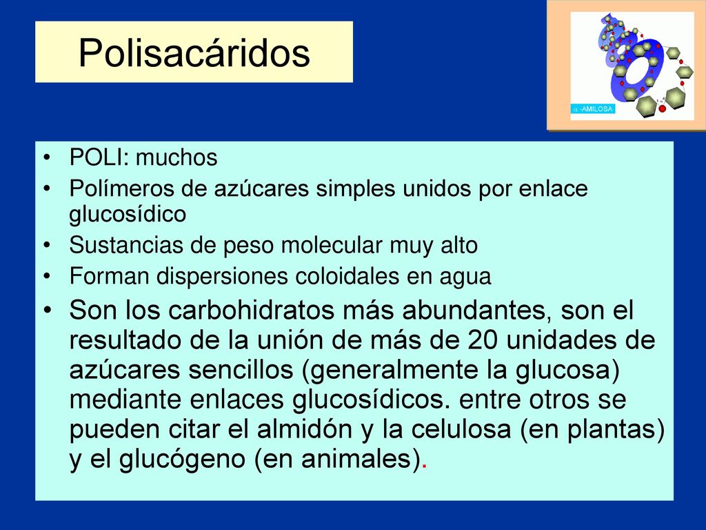 Polisacáridos POLI: muchos. Polímeros de azúcares simples unidos por enlace glucosídico. Sustancias de peso molecular muy alto.