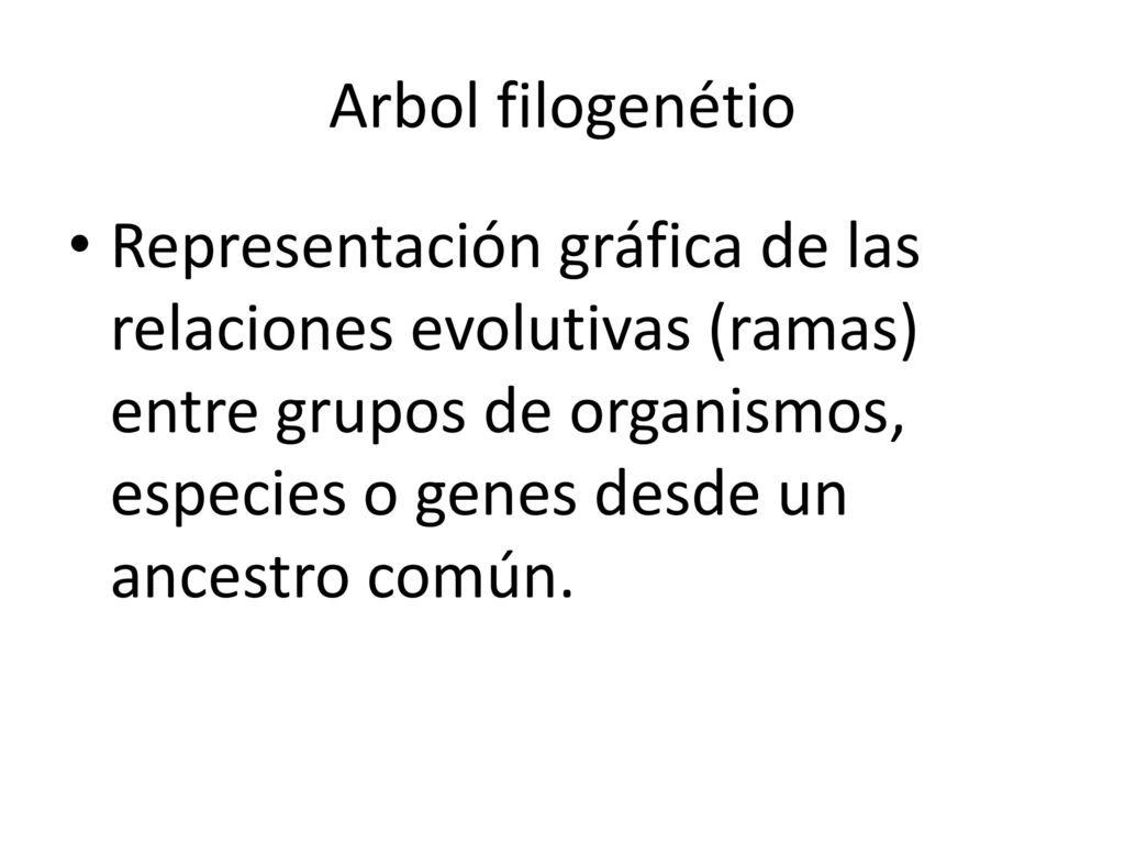 Arbol filogenétio Representación gráfica de las relaciones evolutivas (ramas) entre grupos de organismos, especies o genes desde un ancestro común.