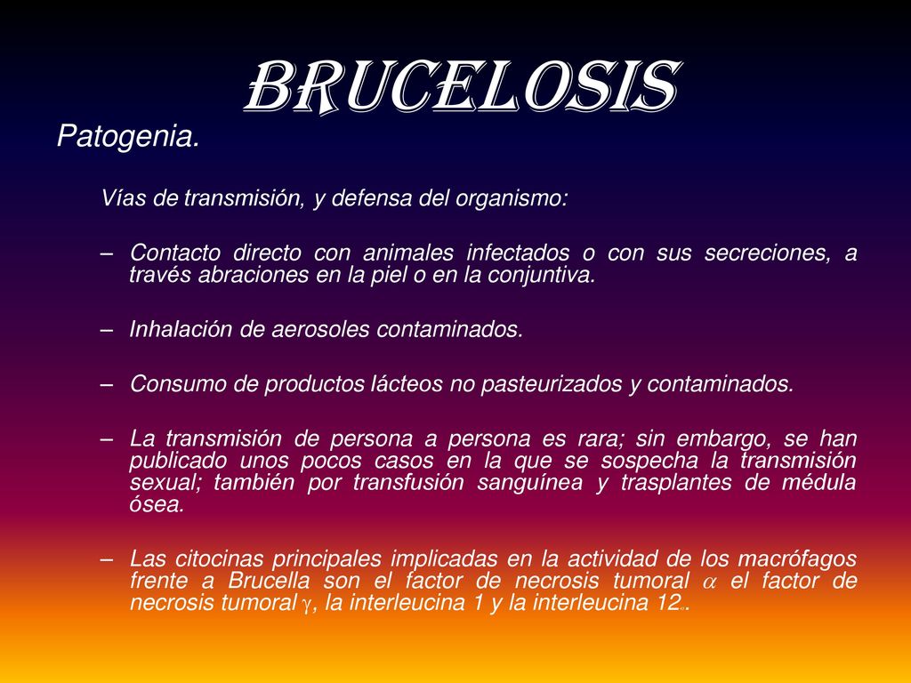 BRUCELOSIS Patogenia. Vías de transmisión, y defensa del organismo:
