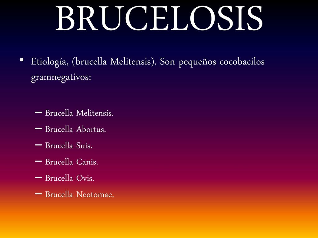BRUCELOSIS Etiología, (brucella Melitensis). Son pequeños cocobacilos gramnegativos: Brucella Melitensis.