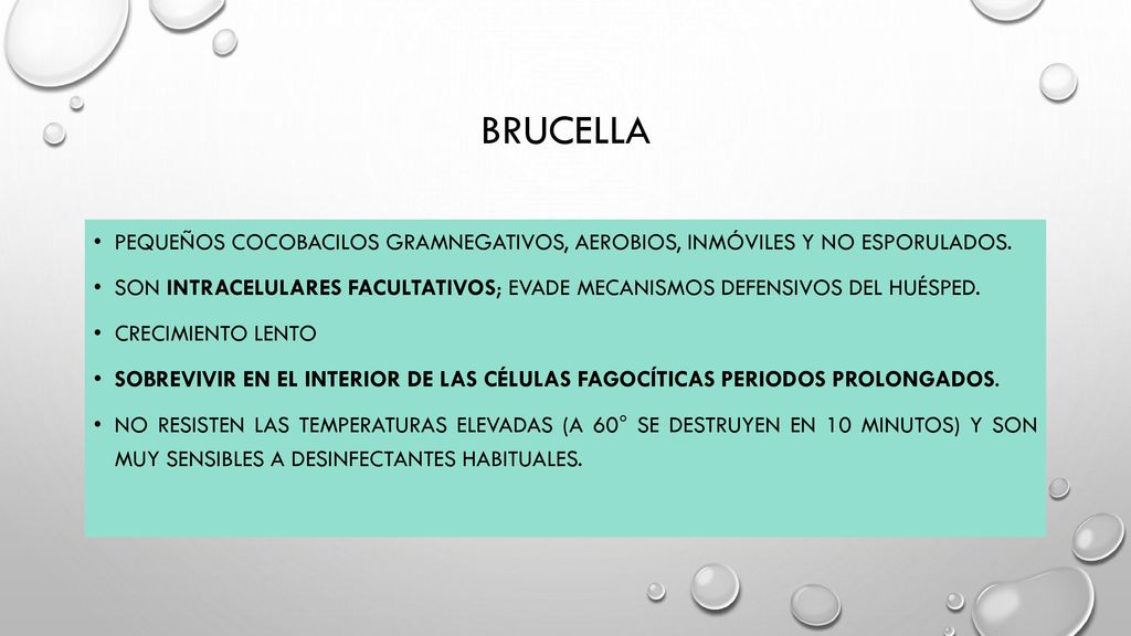 BRUCELLA Pequeños cocobacilos gramnegativos, aerobios, inmóviles y no esporulados.