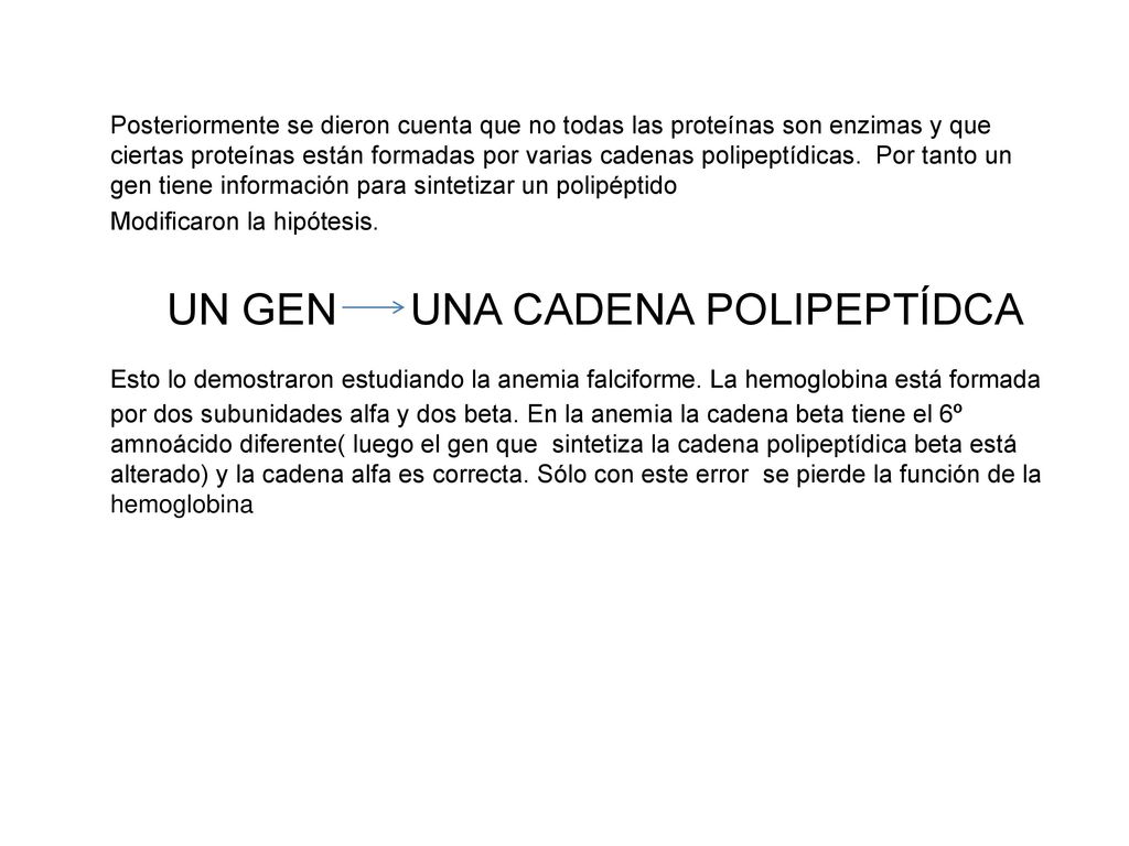 Posteriormente se dieron cuenta que no todas las proteínas son enzimas y que ciertas proteínas están formadas por varias cadenas polipeptídicas. Por tanto un gen tiene información para sintetizar un polipéptido