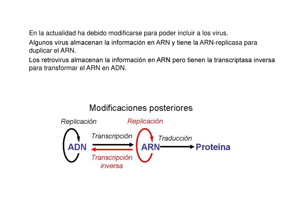 En la actualidad ha debido modificarse para poder incluir a los virus