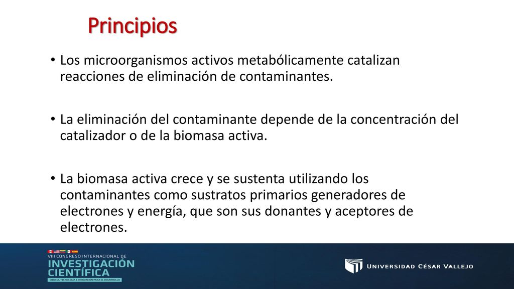 Principios Los microorganismos activos metabólicamente catalizan reacciones de eliminación de contaminantes.