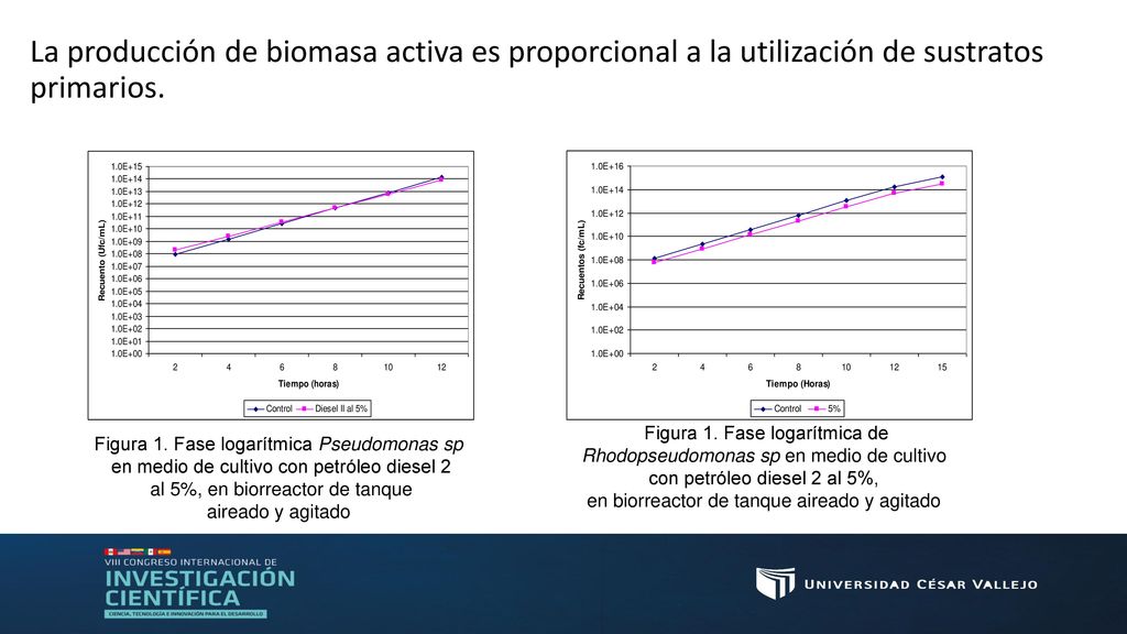 La producción de biomasa activa es proporcional a la utilización de sustratos primarios.