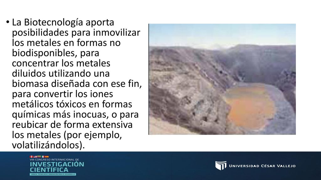 La Biotecnología aporta posibilidades para inmovilizar los metales en formas no biodisponibles, para concentrar los metales diluidos utilizando una biomasa diseñada con ese fin, para convertir los iones metálicos tóxicos en formas químicas más inocuas, o para reubicar de forma extensiva los metales (por ejemplo, volatilizándolos).