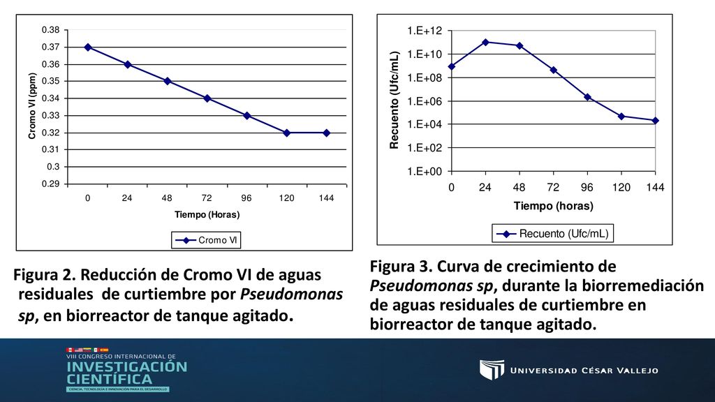 Figura 3. Curva de crecimiento de Pseudomonas sp, durante la biorremediación de aguas residuales de curtiembre en biorreactor de tanque agitado.