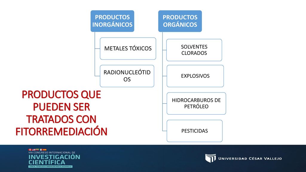 PRODUCTOS QUE PUEDEN SER TRATADOS CON FITORREMEDIACIÓN