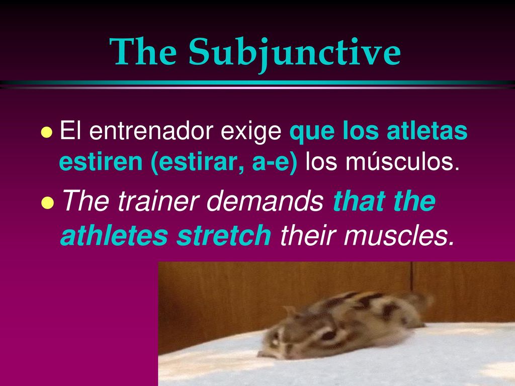 The Subjunctive El entrenador exige que los atletas estiren (estirar, a-e) los músculos.