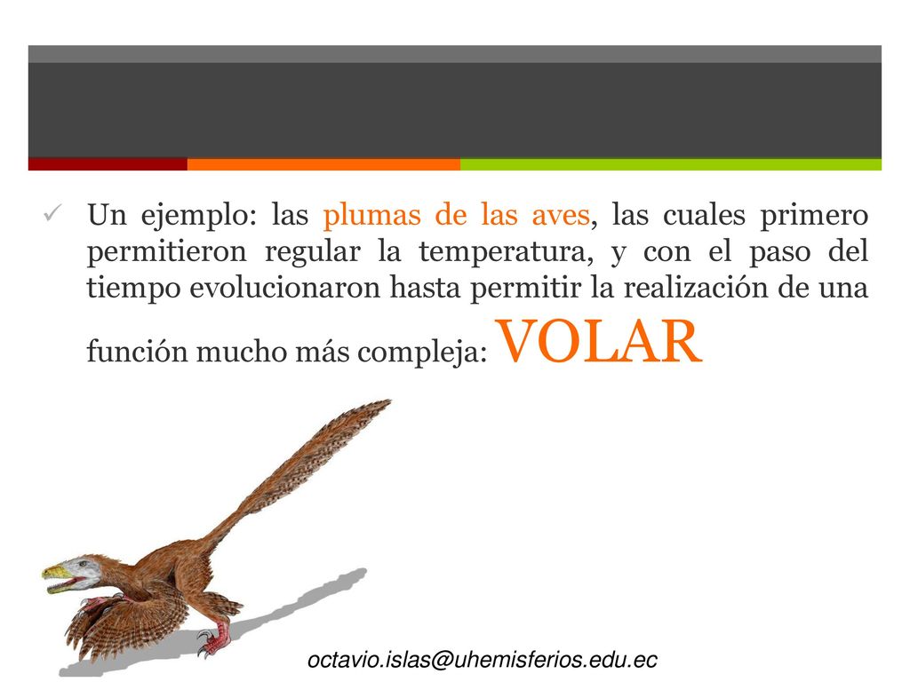 Un ejemplo: las plumas de las aves, las cuales primero permitieron regular la temperatura, y con el paso del tiempo evolucionaron hasta permitir la realización de una función mucho más compleja: VOLAR