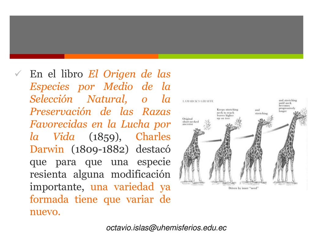 En el libro El Origen de las Especies por Medio de la Selección Natural, o la Preservación de las Razas Favorecidas en la Lucha por la Vida (1859), Charles Darwin ( ) destacó que para que una especie resienta alguna modificación importante, una variedad ya formada tiene que variar de nuevo.