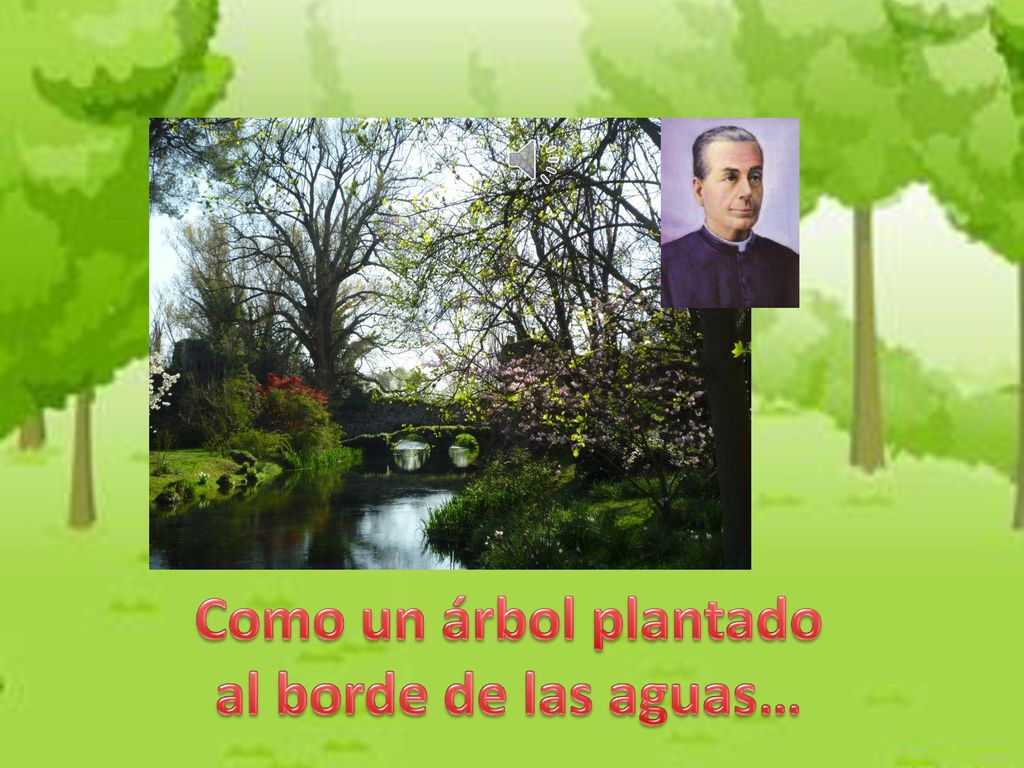 Como un árbol plantado al borde de las aguas…