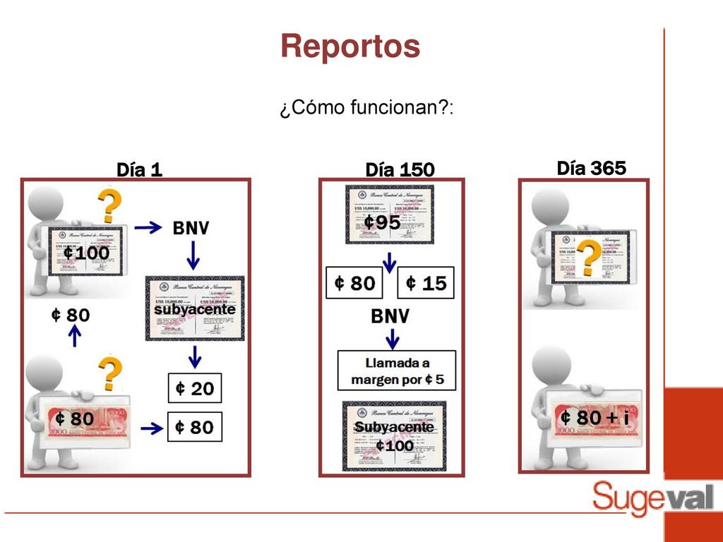 Reportos ¿Cómo funcionan : Día 1 Día 150 Día 365