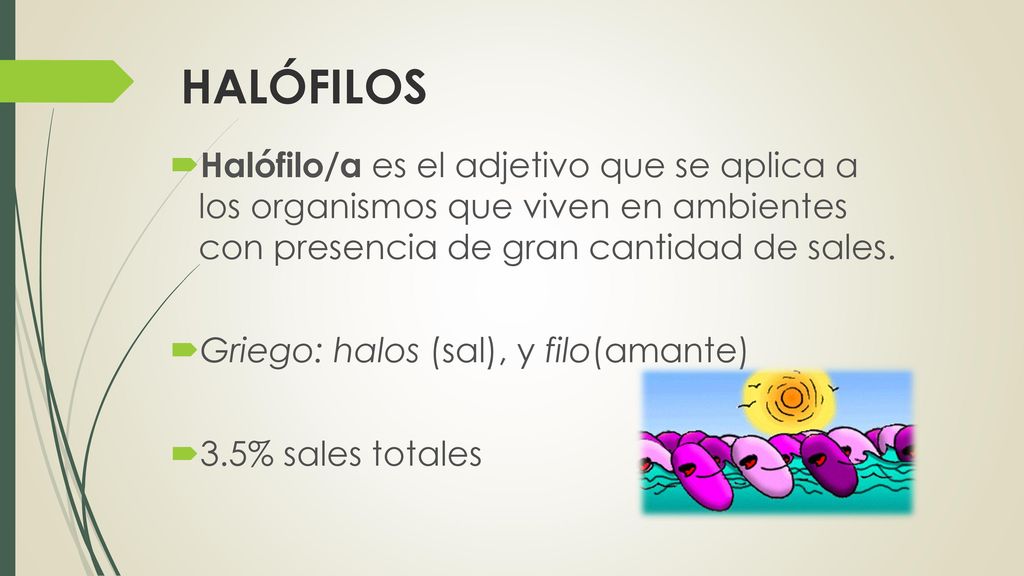 HALÓFILOS Halófilo/a es el adjetivo que se aplica a los organismos que viven en ambientes con presencia de gran cantidad de sales.