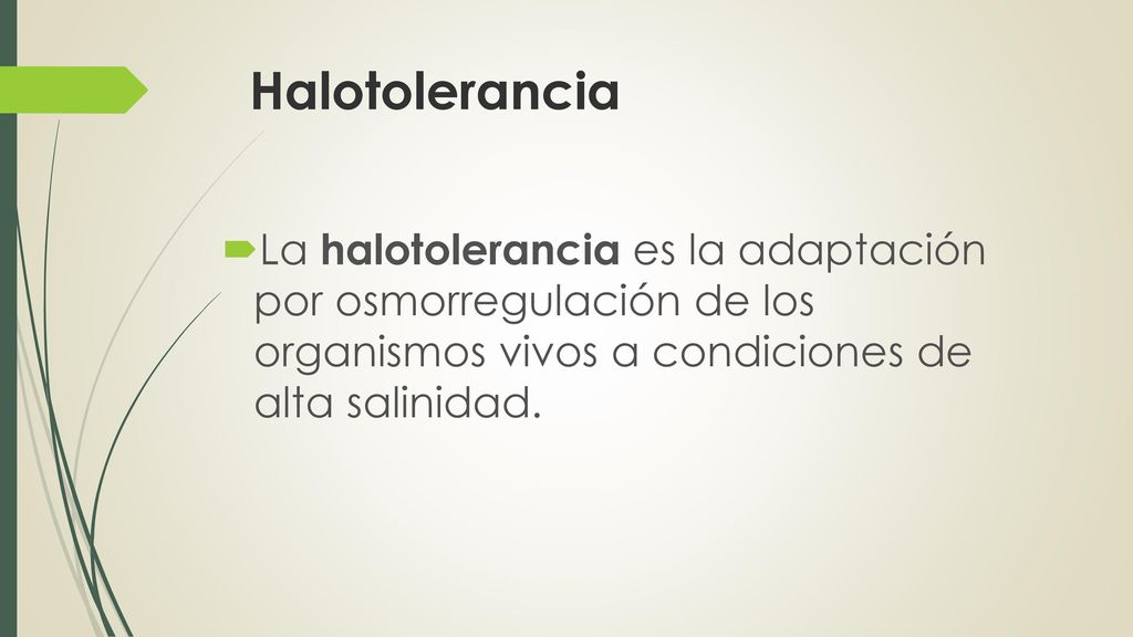 Halotolerancia La halotolerancia es la adaptación por osmorregulación de los organismos vivos a condiciones de alta salinidad.