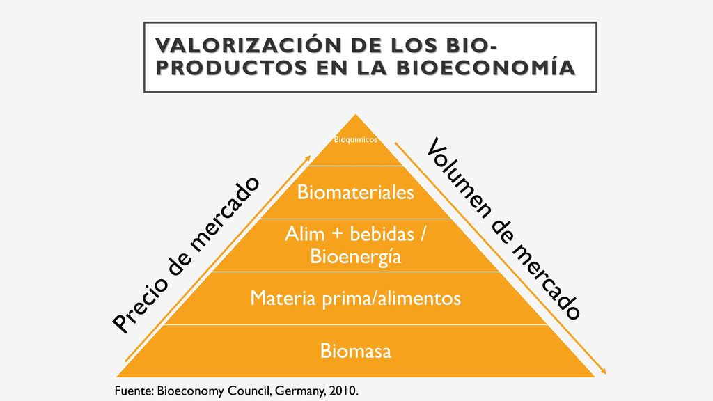 Valorización de los bio-productos en la bioeconomía