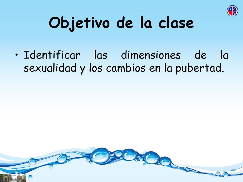 Objetivo de la clase Identificar las dimensiones de la sexualidad y los cambios en la pubertad.
