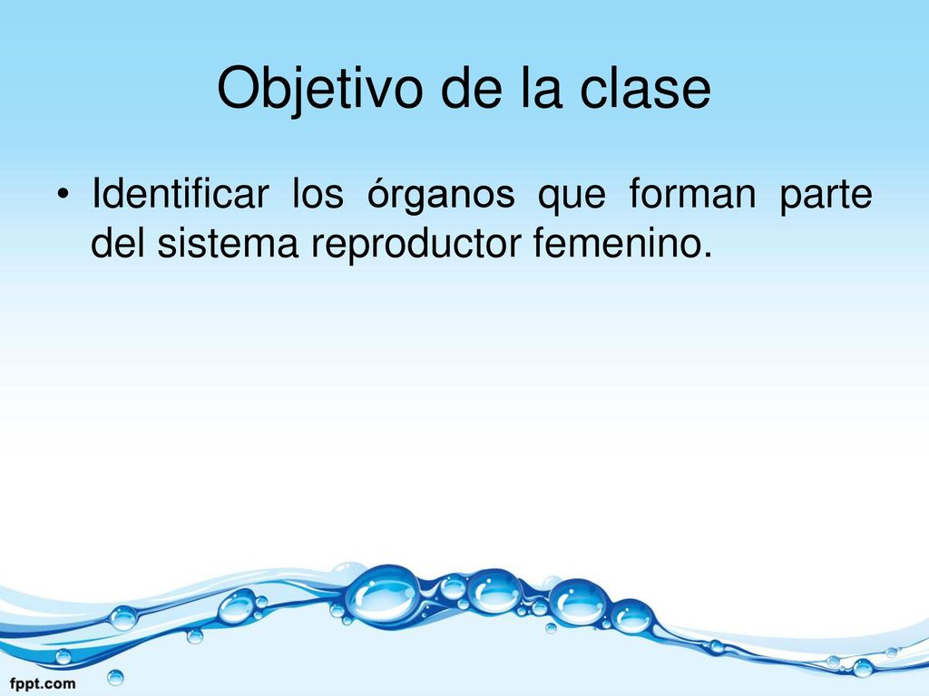 Objetivo de la clase Identificar los órganos que forman parte del sistema reproductor femenino.