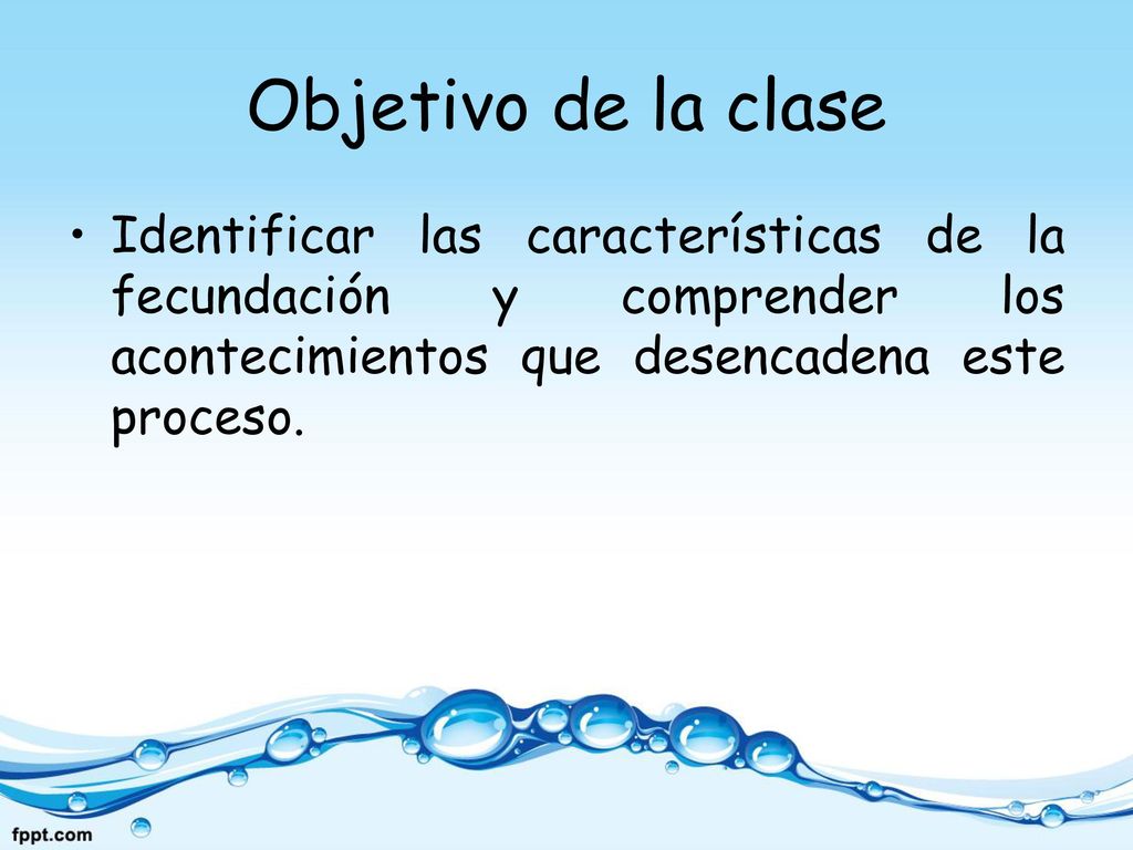 Objetivo de la clase Identificar las características de la fecundación y comprender los acontecimientos que desencadena este proceso.