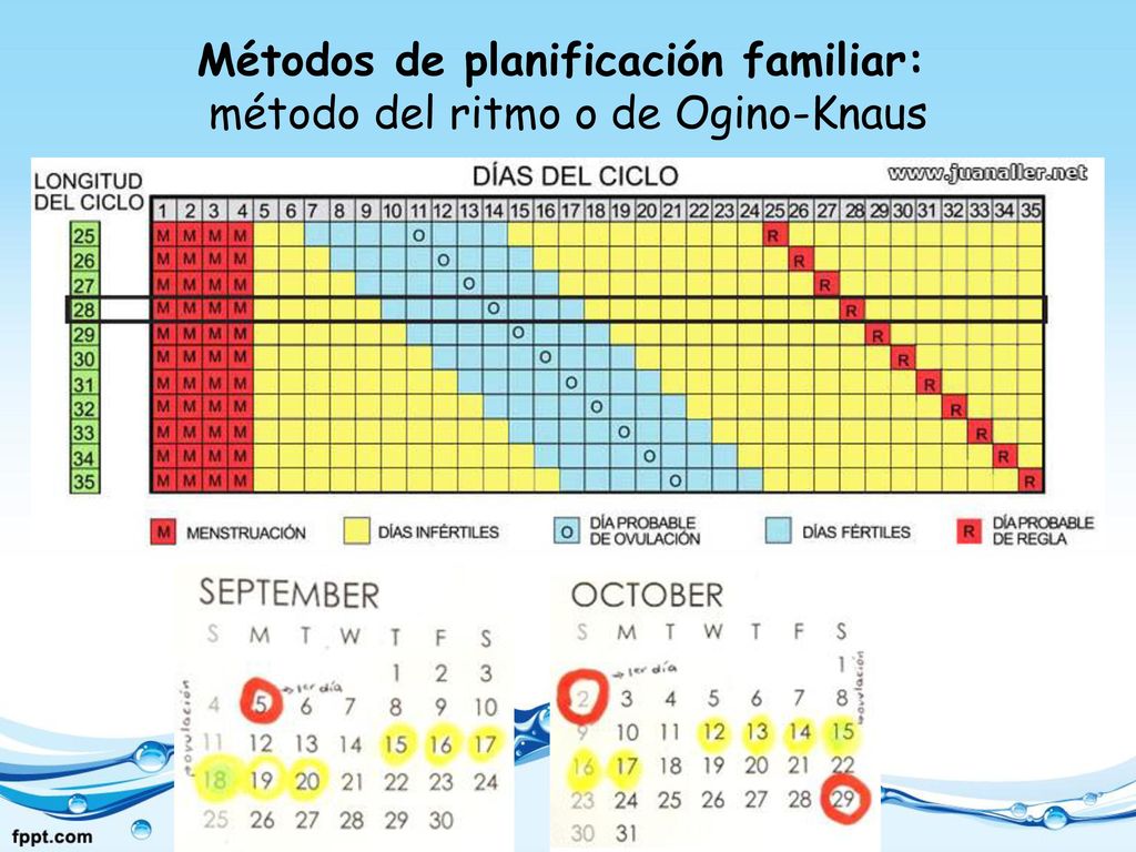 Métodos de planificación familiar: método del ritmo o de Ogino-Knaus