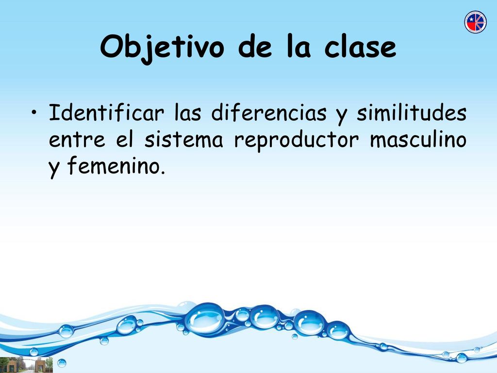 Objetivo de la clase Identificar las diferencias y similitudes entre el sistema reproductor masculino y femenino.