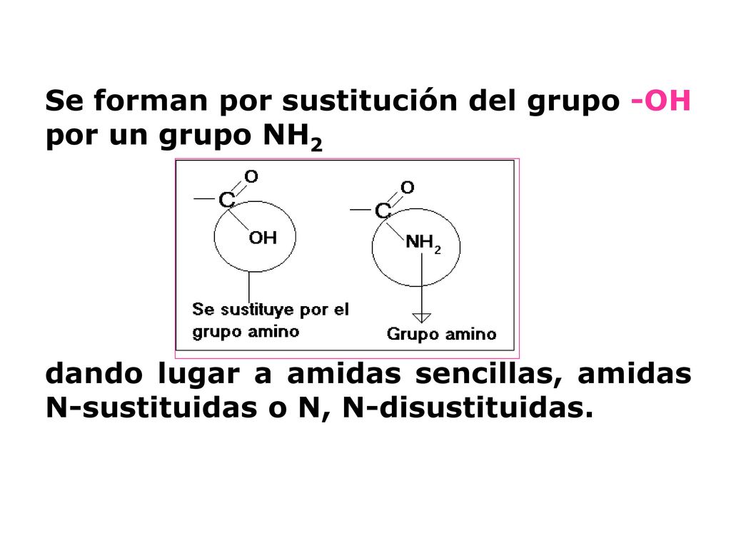 Se forman por sustitución del grupo -OH por un grupo NH2