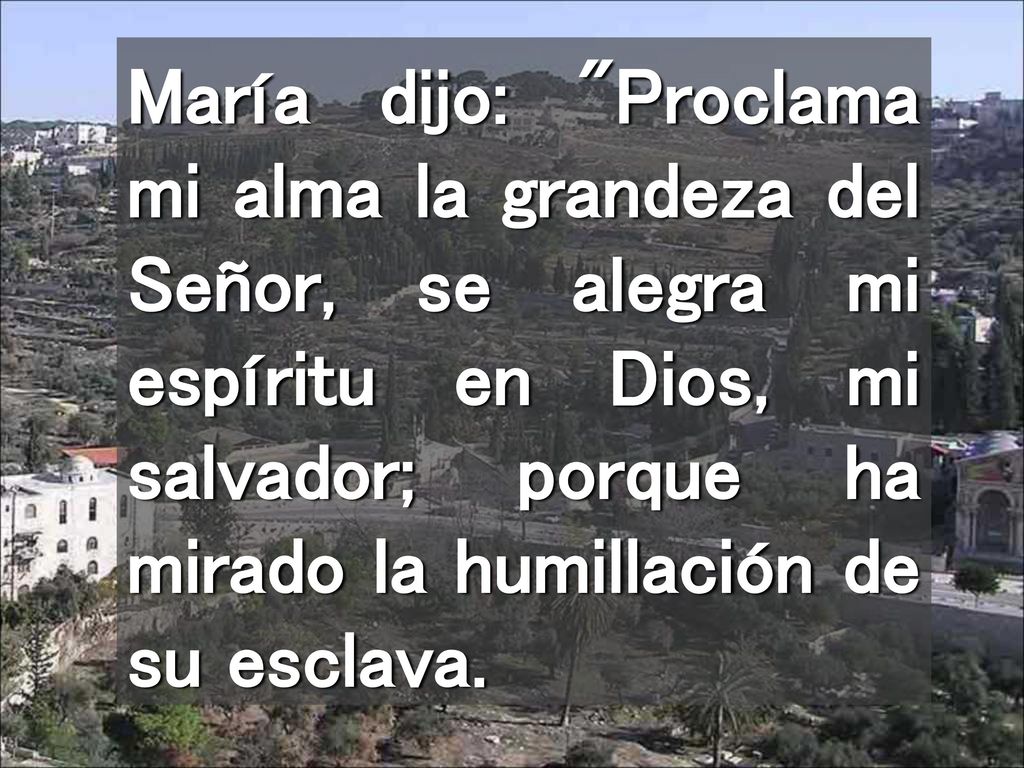 María dijo: Proclama mi alma la grandeza del Señor, se alegra mi espíritu en Dios, mi salvador; porque ha mirado la humillación de su esclava.