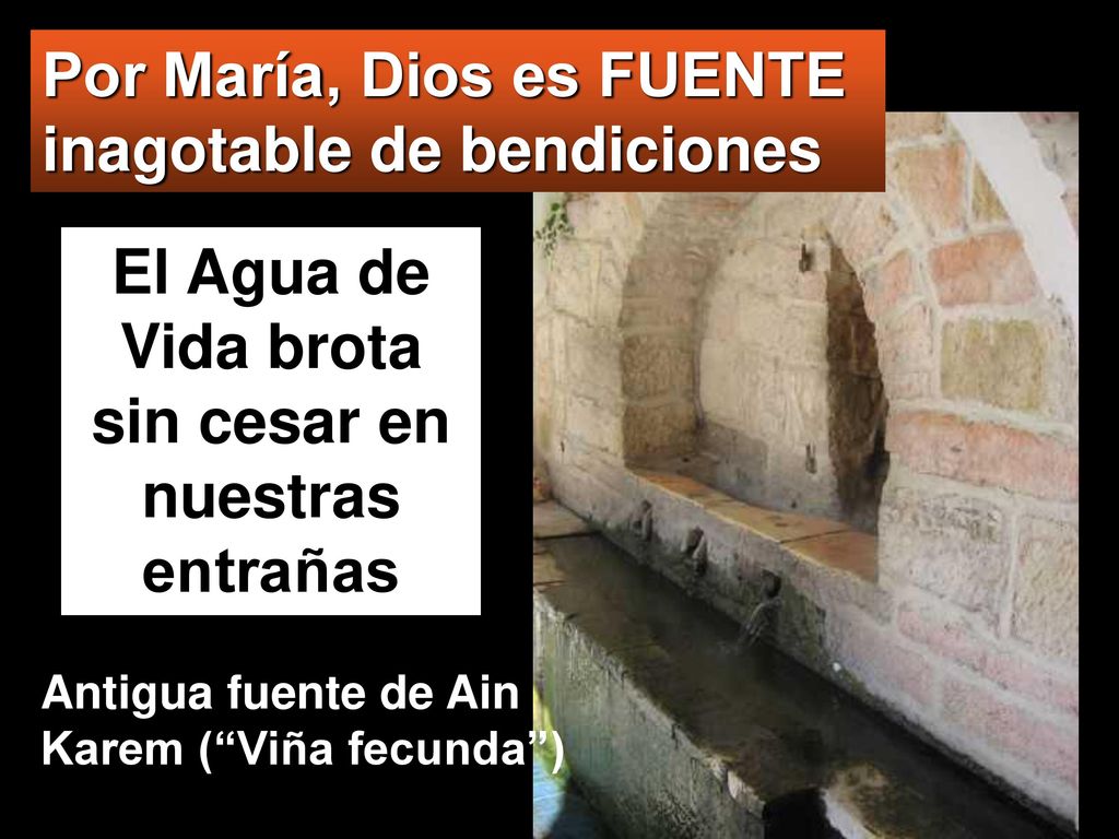 El Agua de Vida brota sin cesar en nuestras entrañas