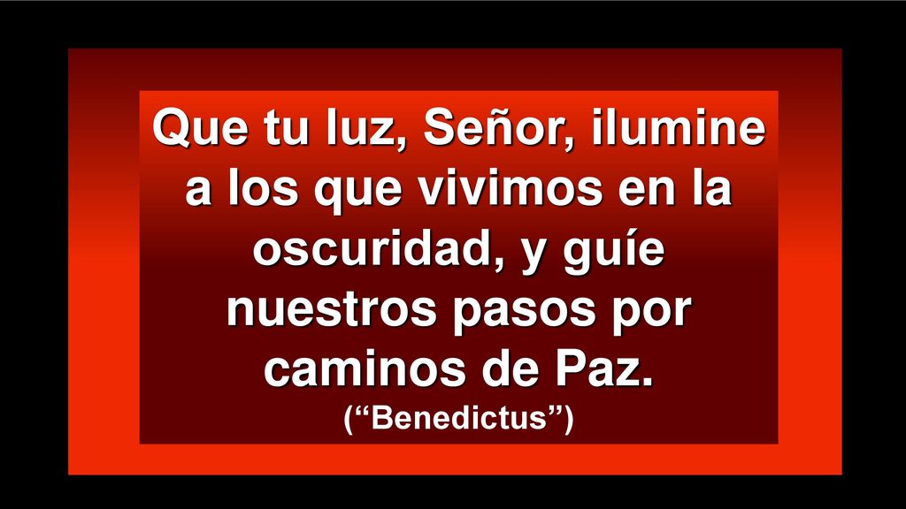 Que tu luz, Señor, ilumine a los que vivimos en la oscuridad, y guíe nuestros pasos por caminos de Paz.