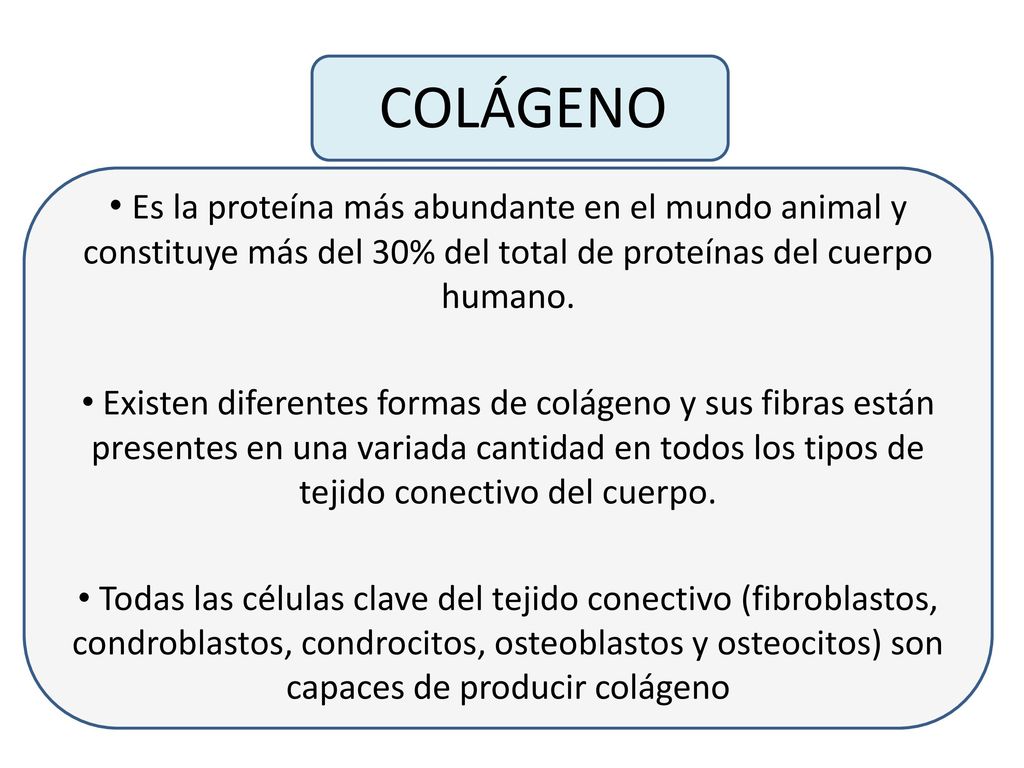 COLÁGENO Es la proteína más abundante en el mundo animal y constituye más del 30% del total de proteínas del cuerpo humano.