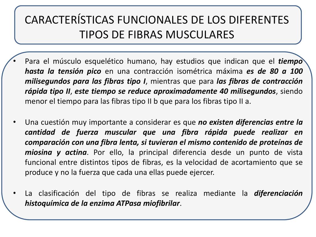 CARACTERÍSTICAS FUNCIONALES DE LOS DIFERENTES TIPOS DE FIBRAS MUSCULARES