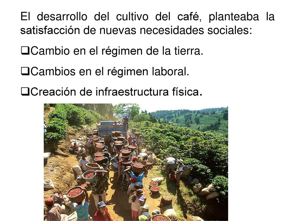 El desarrollo del cultivo del café, planteaba la satisfacción de nuevas necesidades sociales: