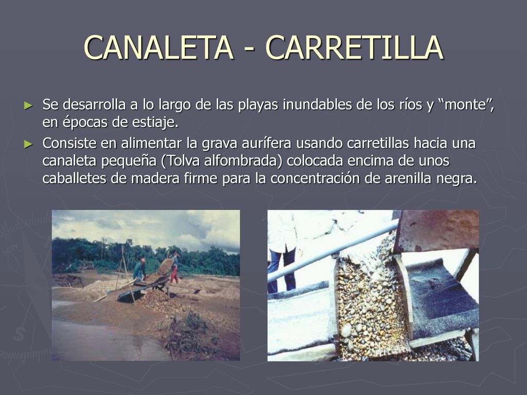 CANALETA - CARRETILLA Se desarrolla a lo largo de las playas inundables de los ríos y monte , en épocas de estiaje.
