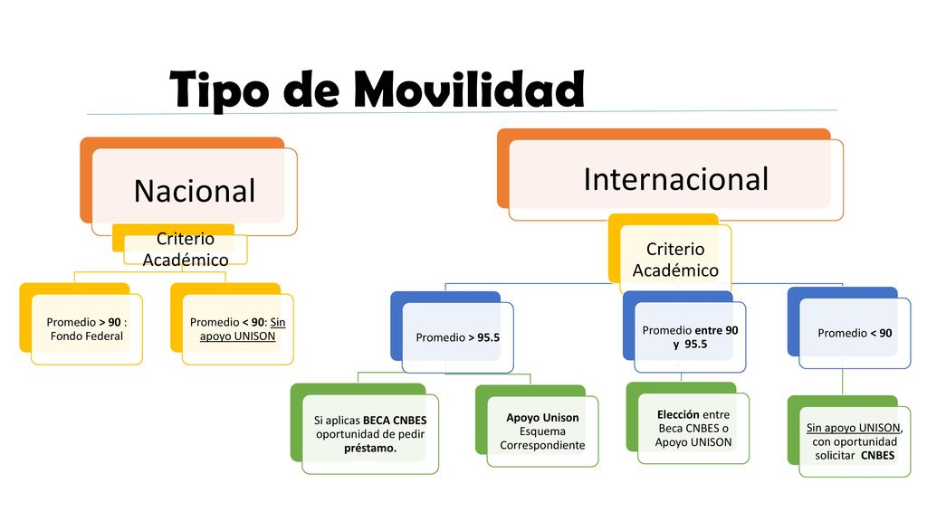 Tipo de Movilidad Internacional Nacional Criterio Académico