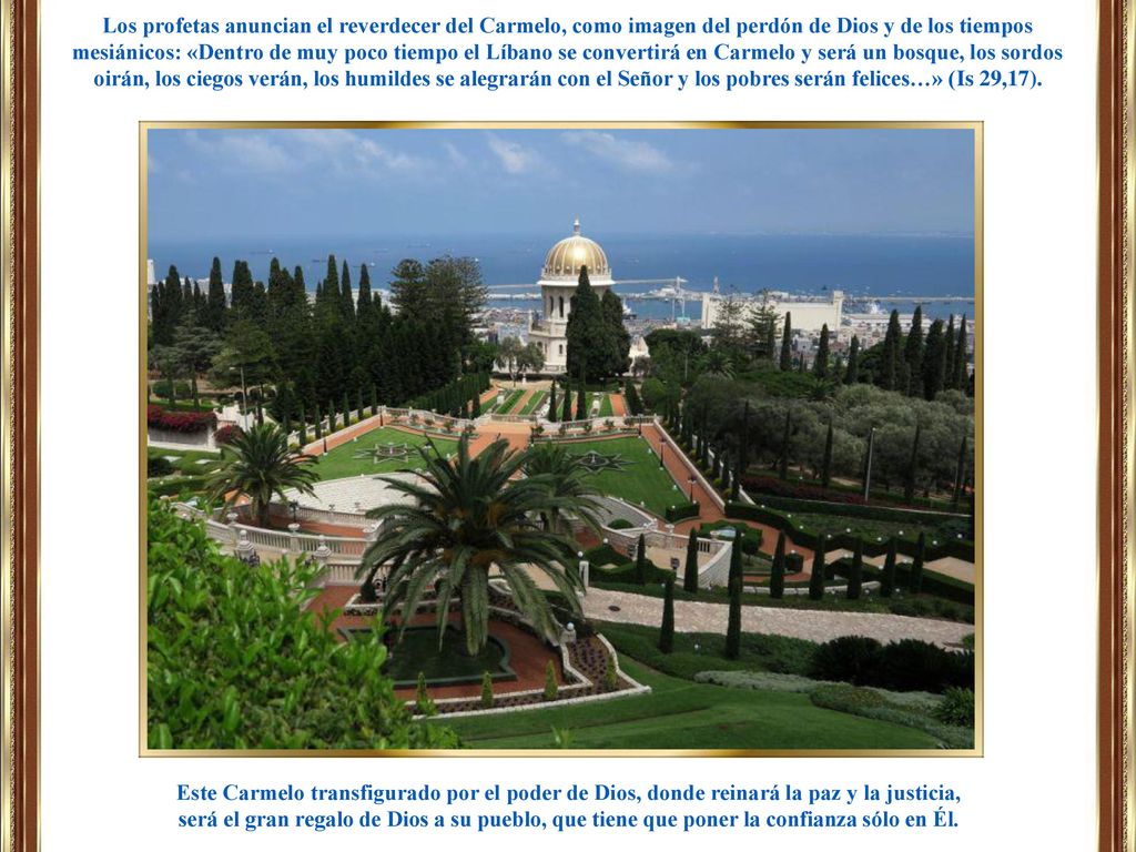 Los profetas anuncian el reverdecer del Carmelo, como imagen del perdón de Dios y de los tiempos mesiánicos: «Dentro de muy poco tiempo el Líbano se convertirá en Carmelo y será un bosque, los sordos oirán, los ciegos verán, los humildes se alegrarán con el Señor y los pobres serán felices…» (Is 29,17).