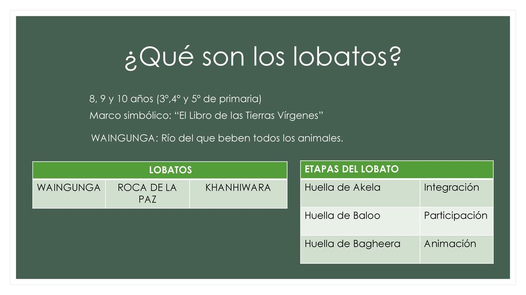 ¿Qué son los lobatos 8, 9 y 10 años (3º,4º y 5º de primaria) Marco simbólico: El Libro de las Tierras Vírgenes