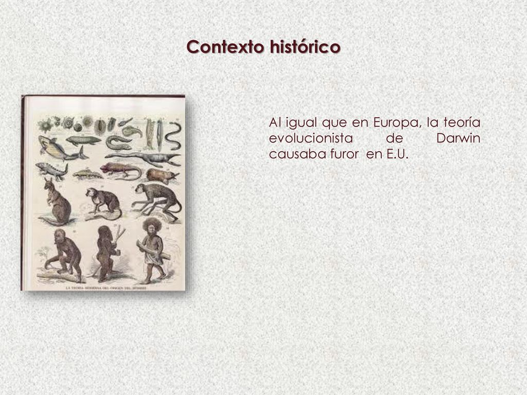 Contexto histórico Al igual que en Europa, la teoría evolucionista de Darwin causaba furor en E.U.