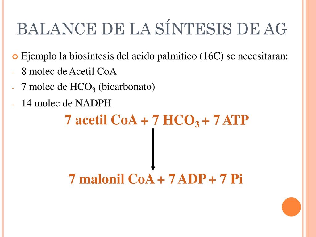 + 7 HCO3 + 7 ATP BALANCE DE LA SÍNTESIS DE AG 7 acetil CoA