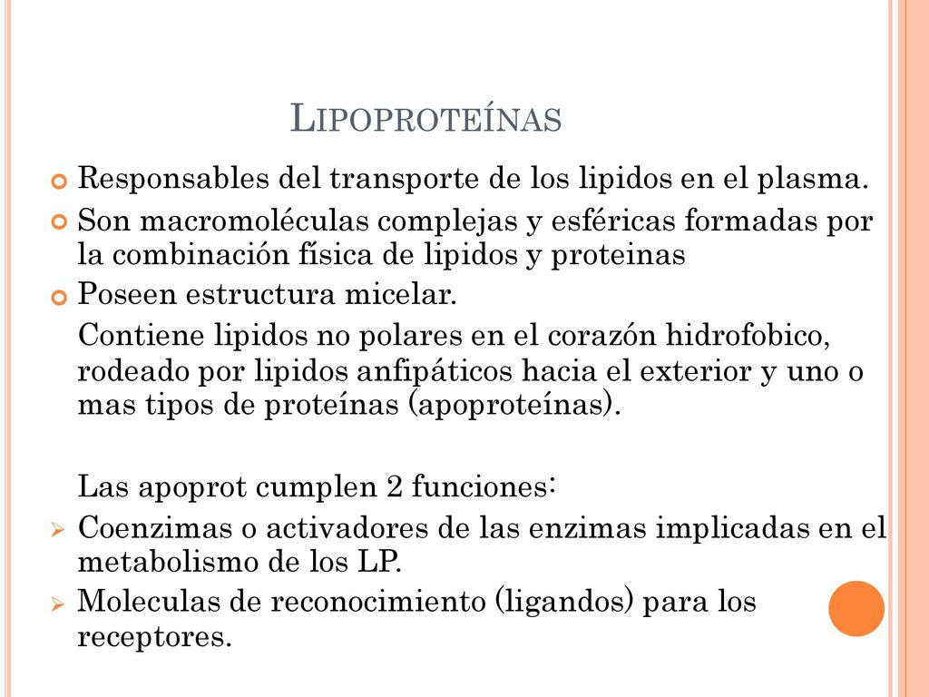 LIPOPROTEÍNAS Responsables del transporte de los lipidos en el plasma.