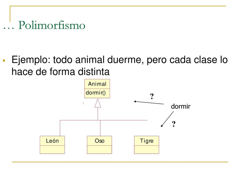 … Polimorfismo Ejemplo: todo animal duerme, pero cada clase lo hace de forma distinta dormir