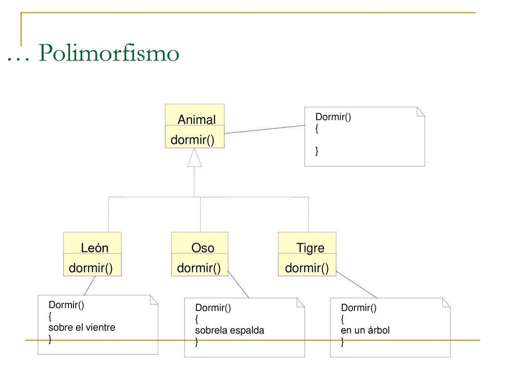 … Polimorfismo Animal dormir() León Oso Tigre dormir() dormir()