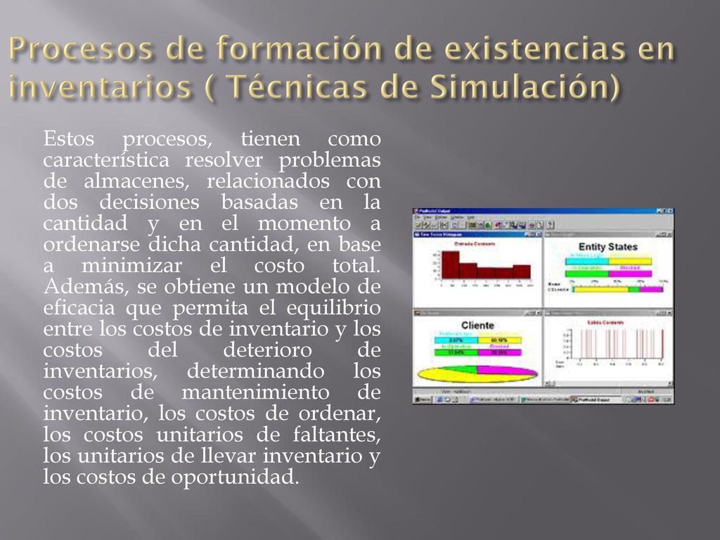Procesos de formación de existencias en inventarios ( Técnicas de Simulación)