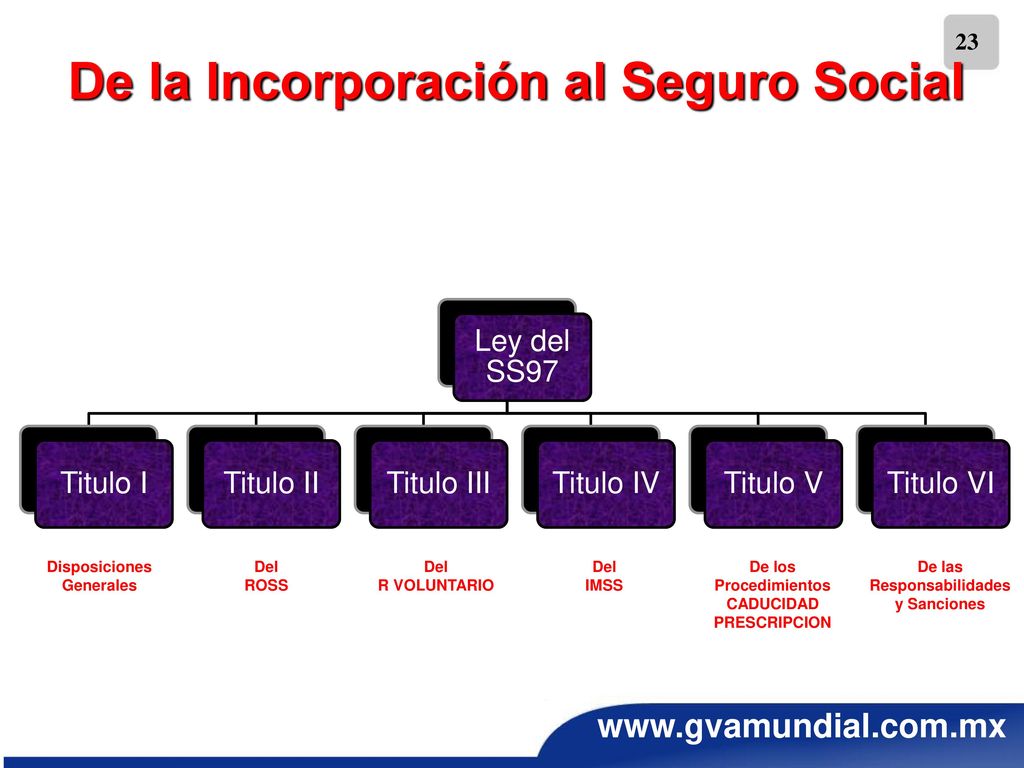 De la Incorporación al Seguro Social