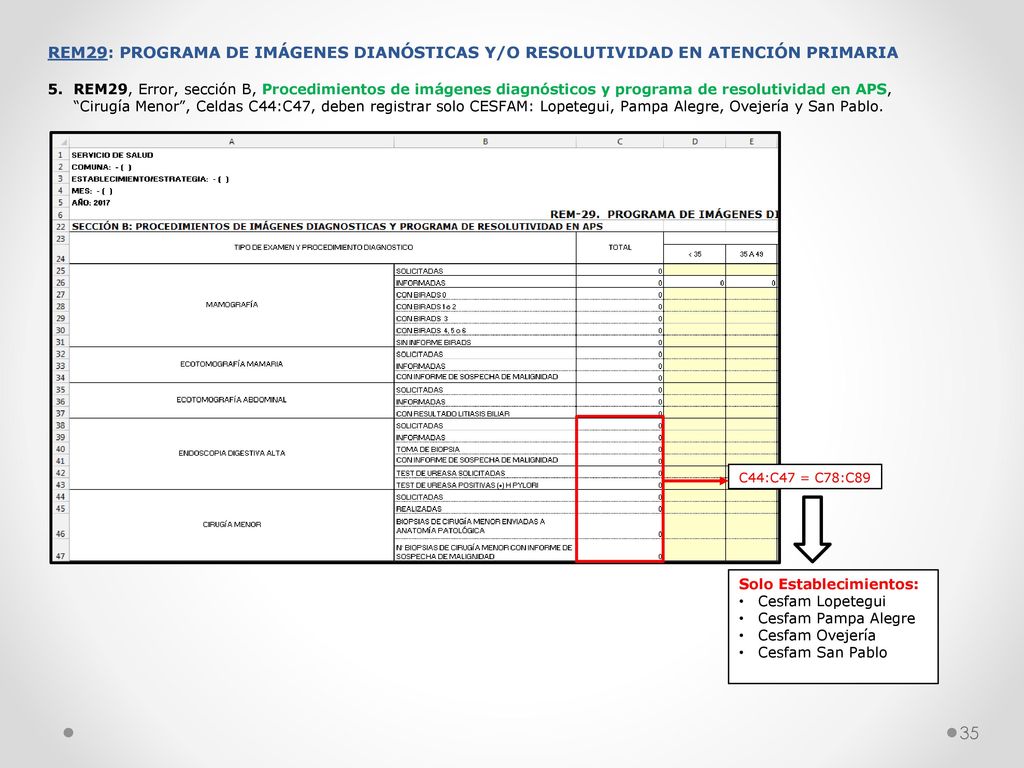 REM29: PROGRAMA DE IMÁGENES DIANÓSTICAS Y/O RESOLUTIVIDAD EN ATENCIÓN PRIMARIA