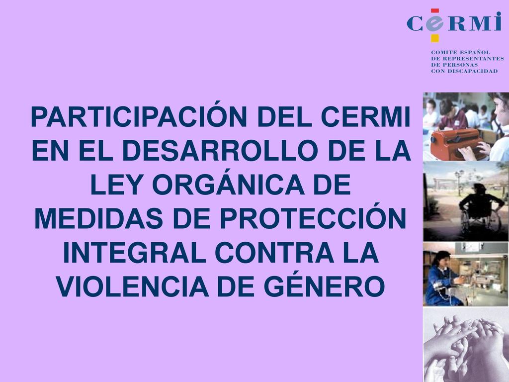 PARTICIPACIÓN DEL CERMI EN EL DESARROLLO DE LA LEY ORGÁNICA DE MEDIDAS DE PROTECCIÓN INTEGRAL CONTRA LA VIOLENCIA DE GÉNERO