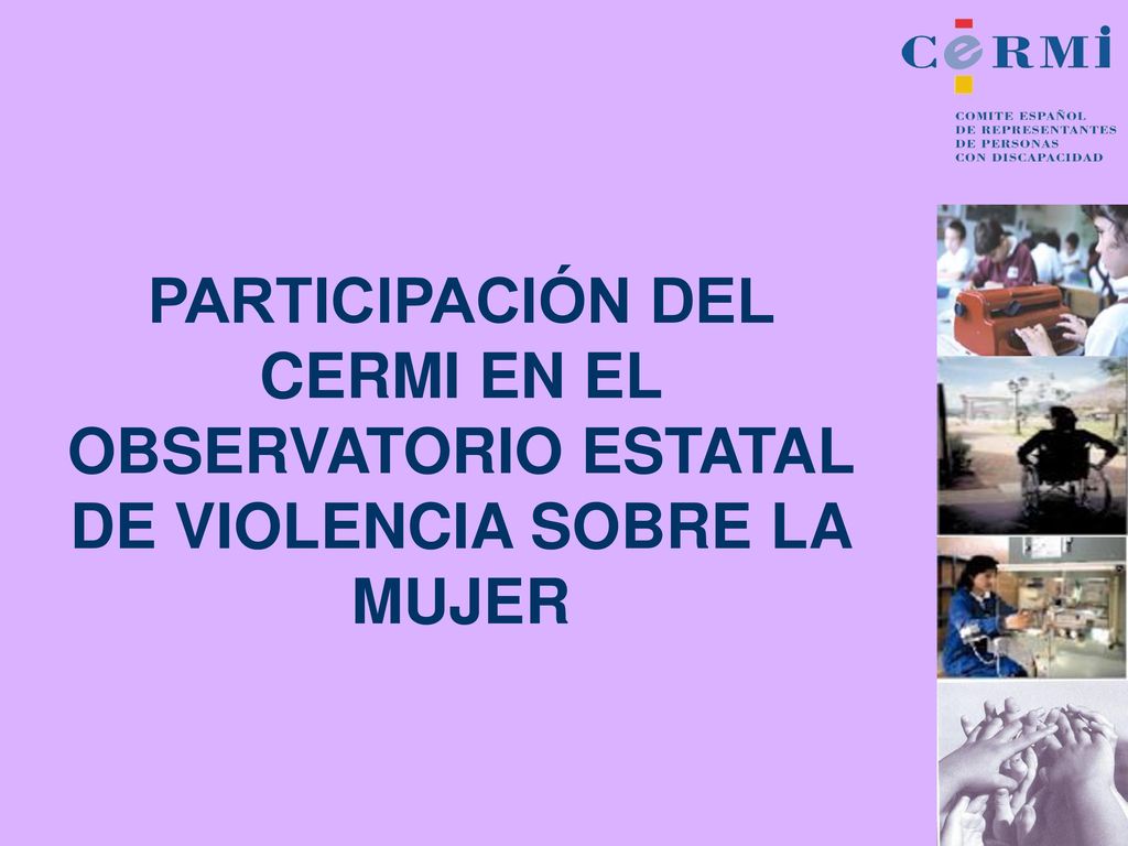 PARTICIPACIÓN DEL CERMI EN EL OBSERVATORIO ESTATAL DE VIOLENCIA SOBRE LA MUJER
