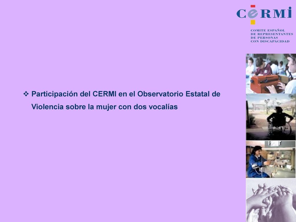 Participación del CERMI en el Observatorio Estatal de Violencia sobre la mujer con dos vocalías