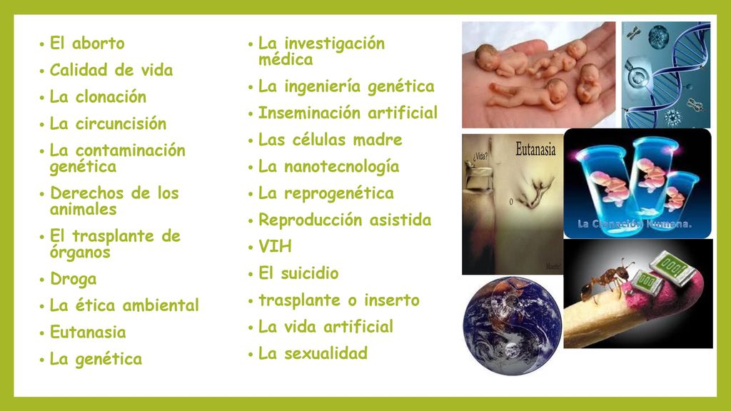 El aborto La investigación médica Calidad de vida La ingeniería genética. La clonación Inseminación artificial